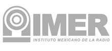 logo imer